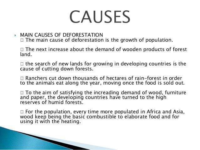 deforestation canada essay